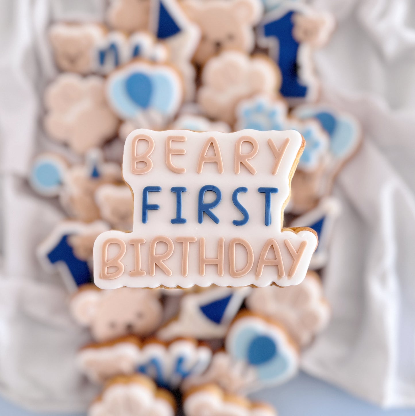 Beary First Birthday